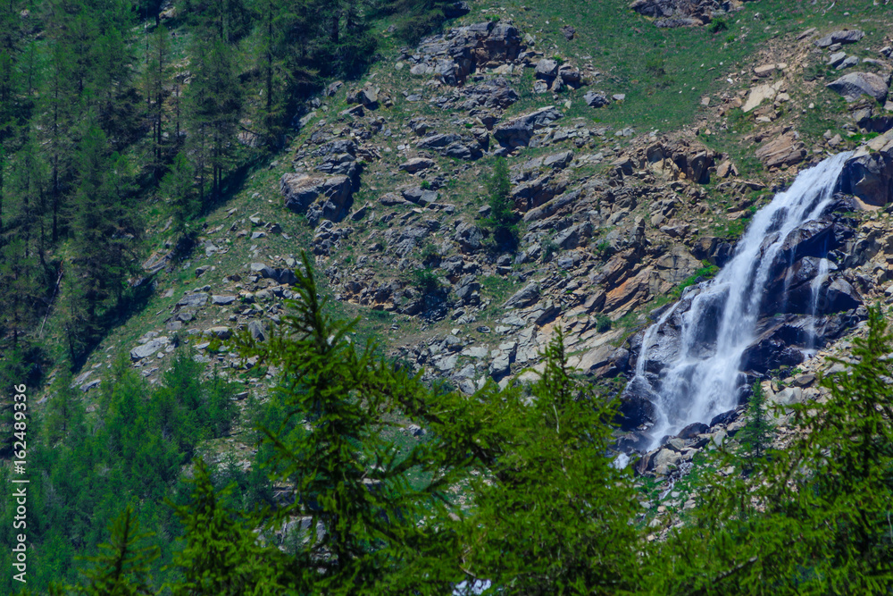 a high altitude mountain landscape in the National Park of Great Paradise,in Piedmont,Italy. /a mountain slope with pine trees and a small waterfall that descends from the glaciers