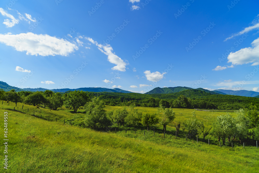 Fototapeta premium Idyllic landscape with trees and grass on a mountain