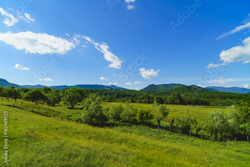 Idyllic landscape with trees and grass on a mountain © czamfir