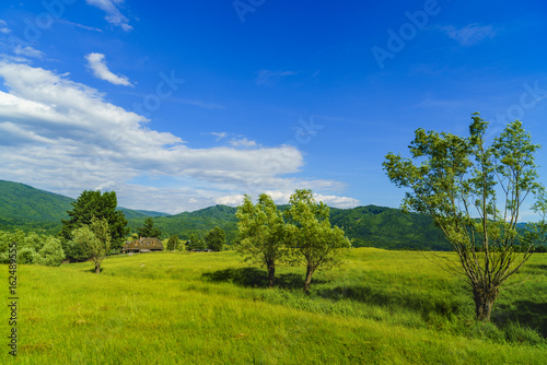 Idyllic landscape with trees and grass on a mountain