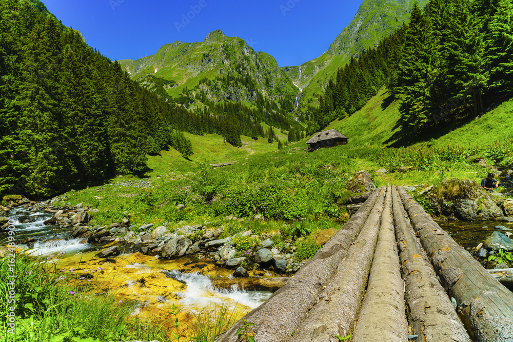 Fototapeta premium Beautiful scenery with a mountain river in the Fagarasi Mountains Romania