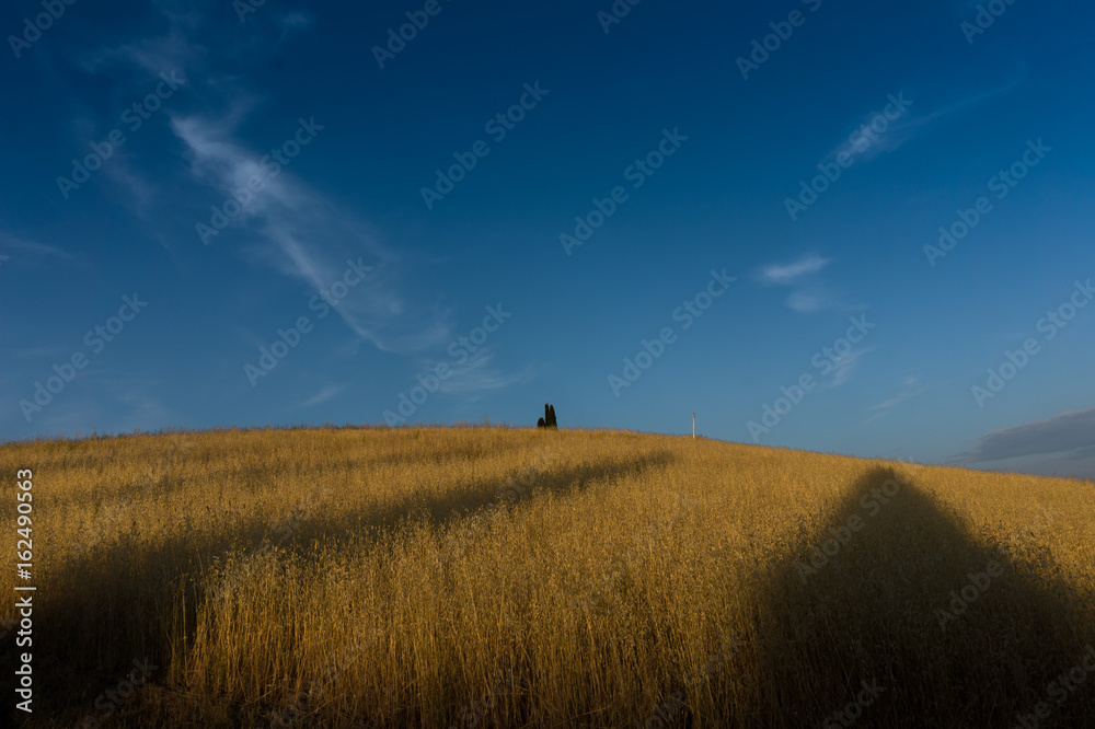 Fototapeta premium Collina erbosa in Toscana