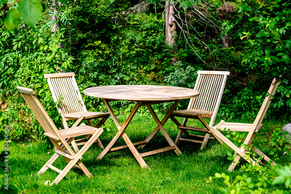 backyard backyard