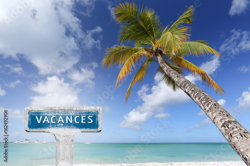 vacances cocotier plage île repos partir voyager caraïbes © shocky