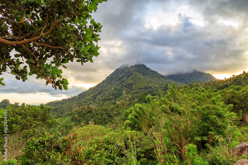 Mountain in the rural jungle outside of Maumere, East Nusa Tenggara. photo