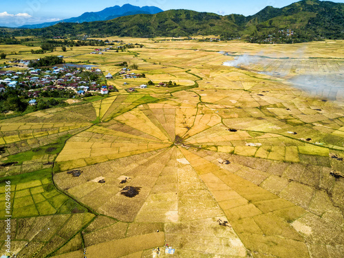 Aerial view of the spider rice fields at the beginning of the dry season near Ruteng, Indonesia. photo