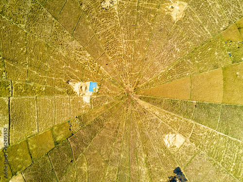 Aerial view of the patchwork of rice plots at the spider rice fields in Ruteng, Indonesia. photo