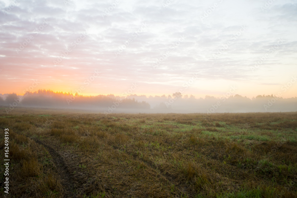sunrise in fields.