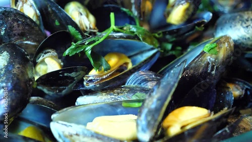 Cooked mussels with Coriander 60fps