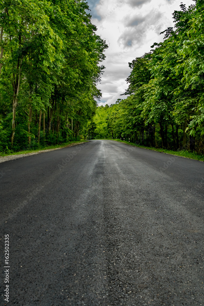 Obraz premium Asphalt country road