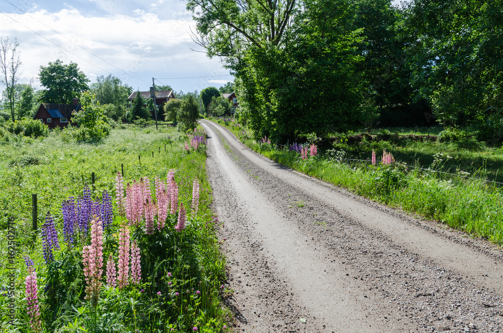 Fototapeta premium Beautiful road to the village