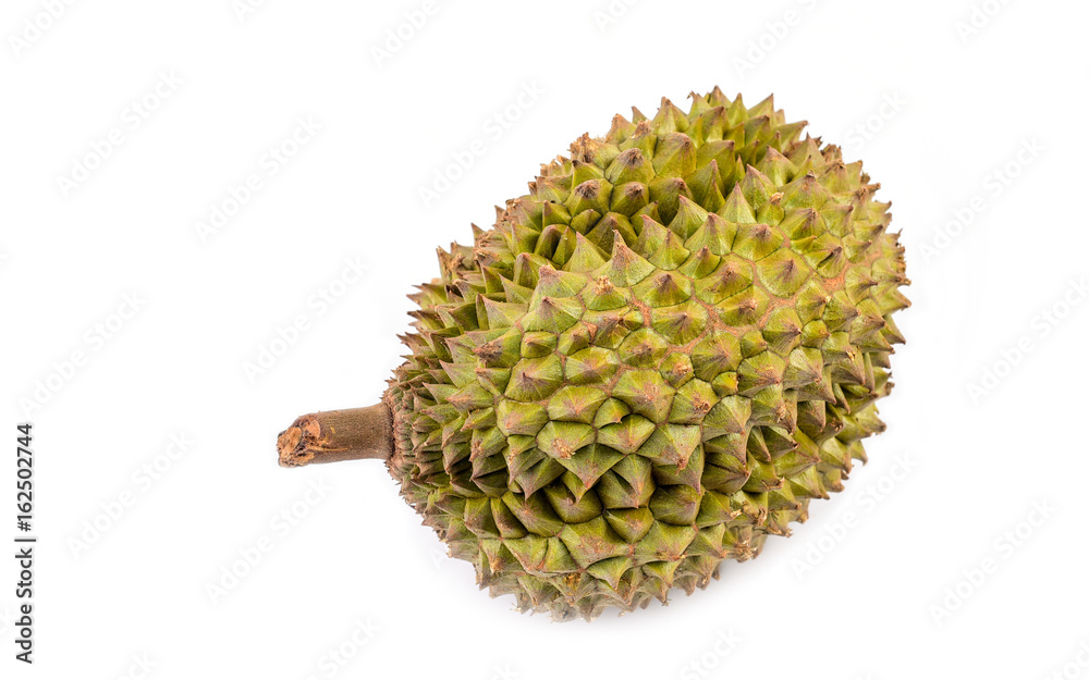 Durian isolated on white