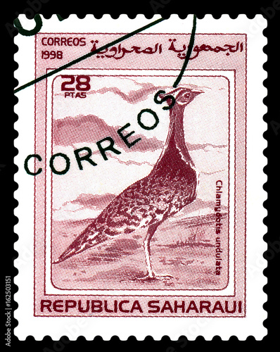 Postage stamp. Bird African houbara. photo