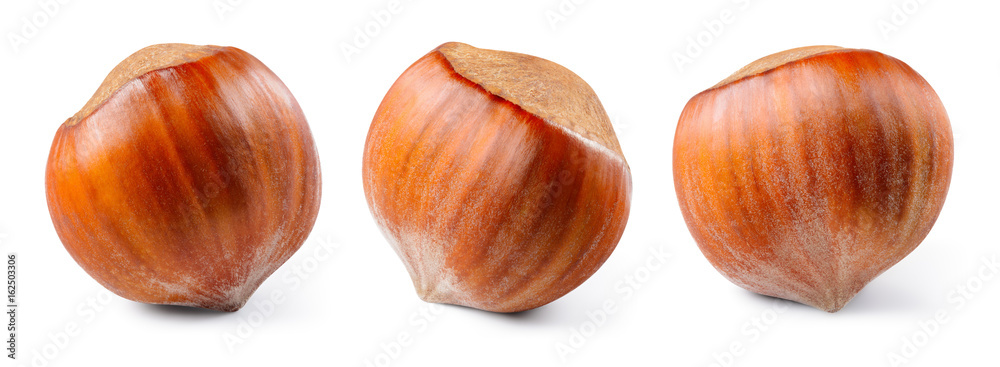 Hazelnut isolated on white background. Nut macro. With clipping path. Collection. Hazelnut isolated on white background. Nut macro. With clipping path. Collection.