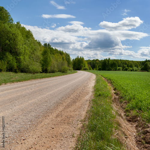 Gravel road in countryside.