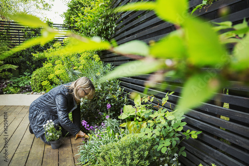 Woman kneeling on a wooden deck, planting flower in a flowerbed.