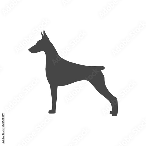 Doberman dog silhouette, side view, vector