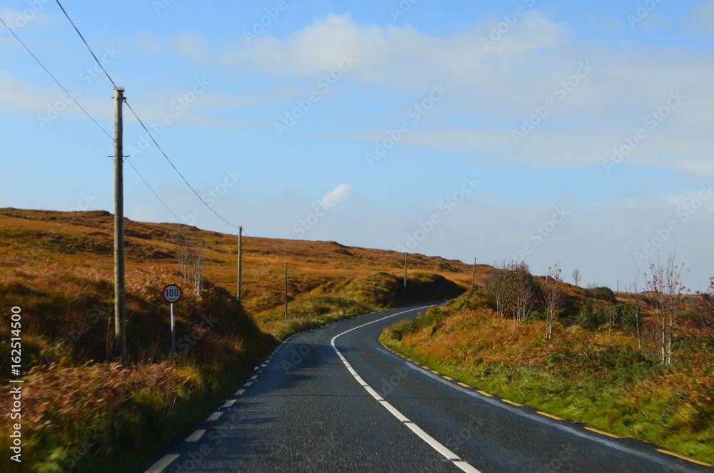 Green Vegetation in a National Road in Ireland