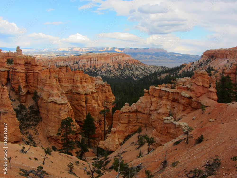 Hoodoos, Bryce Canyon National Park, Utah USA