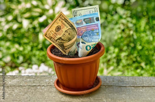 Dollar and Euro bills growing in flowerpots