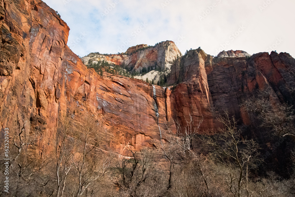 Fototapeta premium Zion National Park