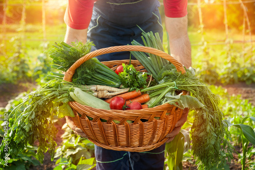 Farmer holding a basket with vegetables