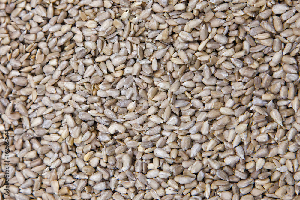 the texture of peeled seeds of sunflower 