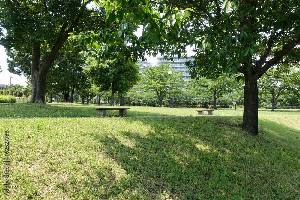 初夏の散歩 初夏の散歩