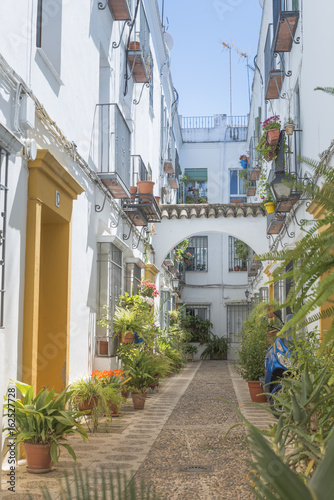 small spanish street with flowers © Chris Willemsen 