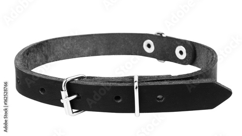 Leather black dog collar on a white background