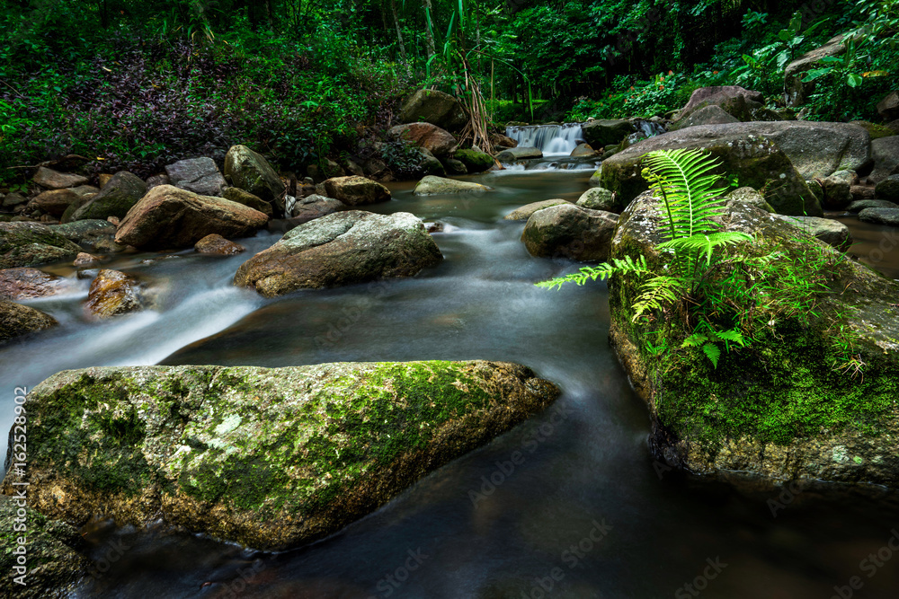 The little river in rainforest.It was took by long exposure. The little river in rainforest.It was took by long exposure.