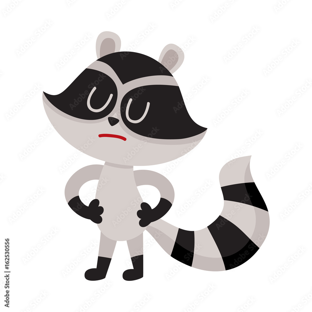 Obraz premium Cute displeased, sad raccoon character showing negative emotion, cartoon vector illustration isolated on white background. Sad, displeased little raccoon standing with closed eyes and pursed mouth