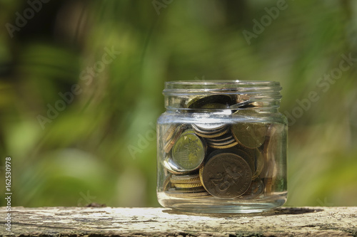 Savings Coins - Investment And Interest Concept