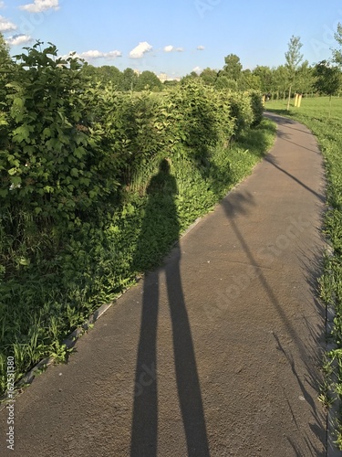 Shadows