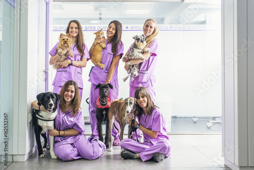 Cheerful women team veterinary holding her pets. photo