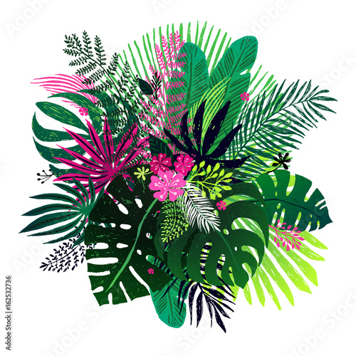 Exotic bouquet of tropical plants, palm leaves and flowers on a white background. Vector botanical illustration, design elements. photo