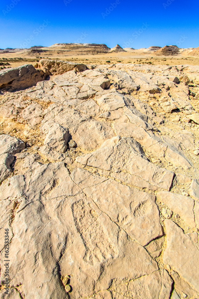 A stunning view of the Western Desert around the Siwa Oasis, Egypt.