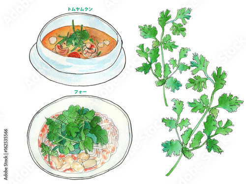 Obraz na płótnie Pakchi Food Four i Tom Yum Kung