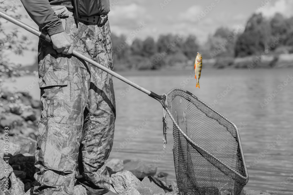 Black-and-white toned natural pond. Trophy fishing. Small goldfish on  fishing line, old fish net with holes. Concept luck, fortune, finance,  investment, success, irony Stock Photo