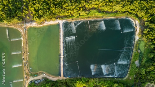 Shrimp farms aerial top view