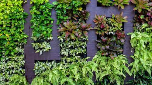 Perspective View of Modern Interior Wall with Vertical Garden and Wooden Lines for Interior