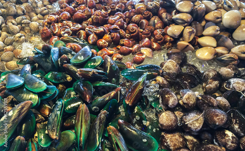 Variety of Shells such as Mussels, Clams on Ice in Seafood Buffet Restaurant for Customer Selection