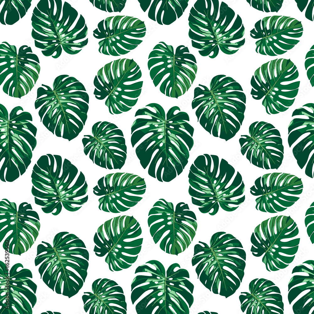 Seamless monstera palm leaves pattern for your summer background. Vector tropical exotic illustration Seamless monstera palm leaves pattern for your summer background. Vector tropical exotic illustration