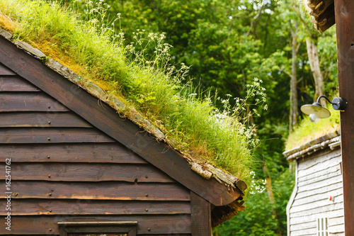 House roof covered with moss