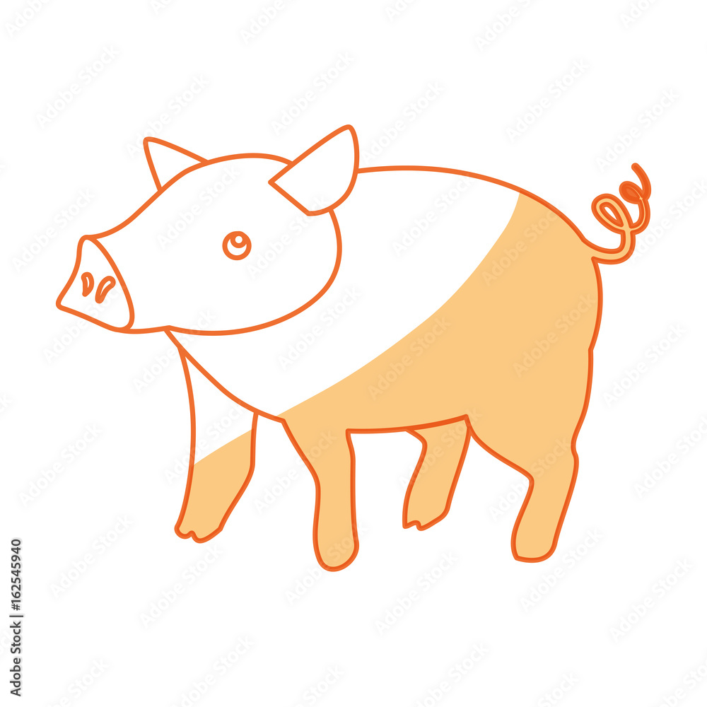 Fototapeta premium Pig farm animal