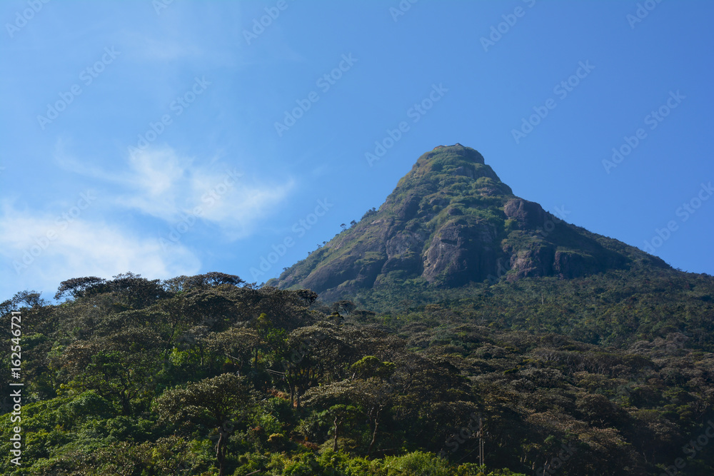 Beautiful morning view of the holy Sri Pada Mountain (Adam's Peak), Sri Lanka