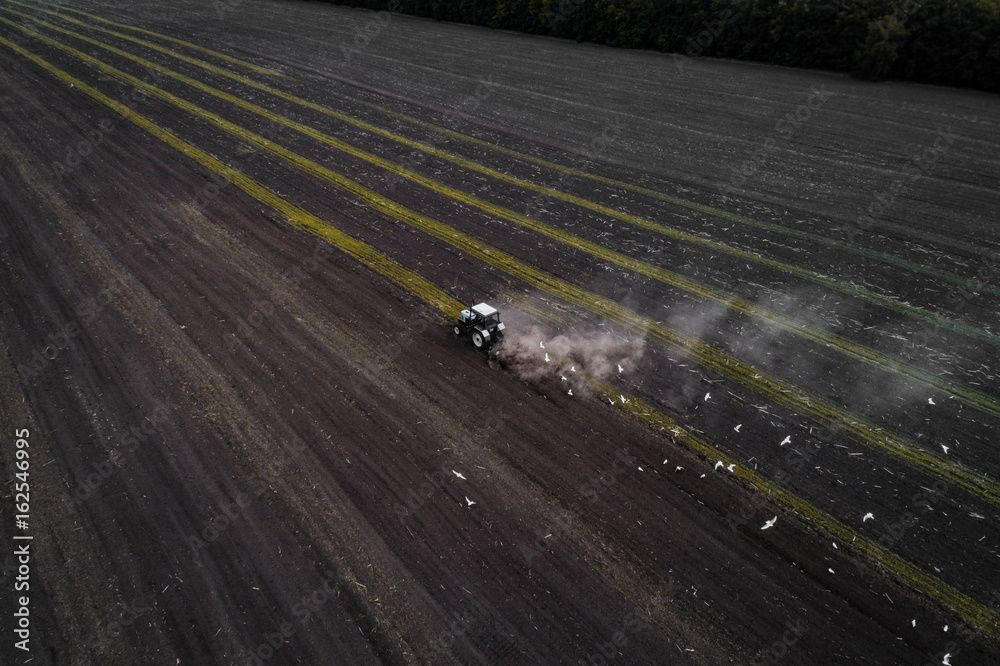 The white tractor plows the field against the backdrop of the black earth, and behind it birds fly and collect food. Aeril view. Agricultural machinery works in the field of spring planting. Plowing