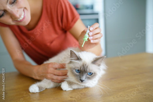 Foto Woman injecting cat product to prevent from fleas