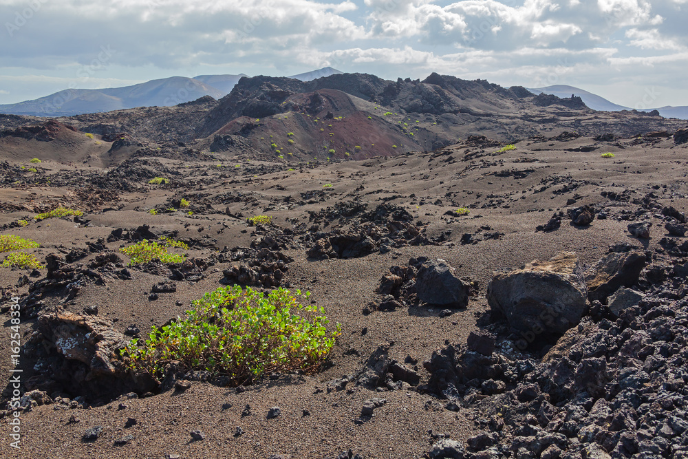 Endless lava fields with rare green bushes on Lanzarote island, Canary Islands, Spain