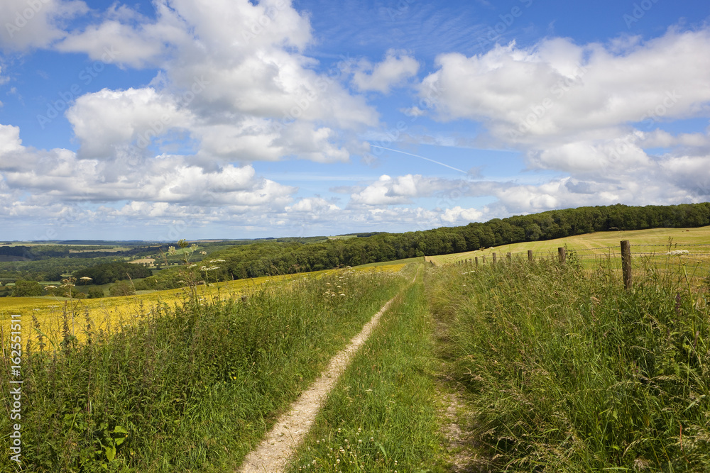 Obraz premium scenic bridleway